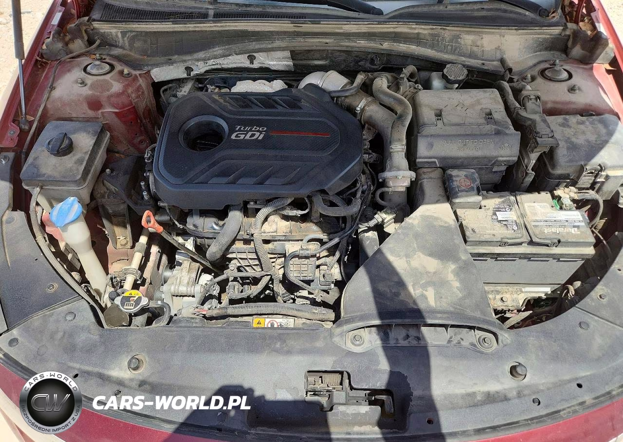 2019 Kia Optima Sx VIN:5XXGW4L28KG317494 - 11