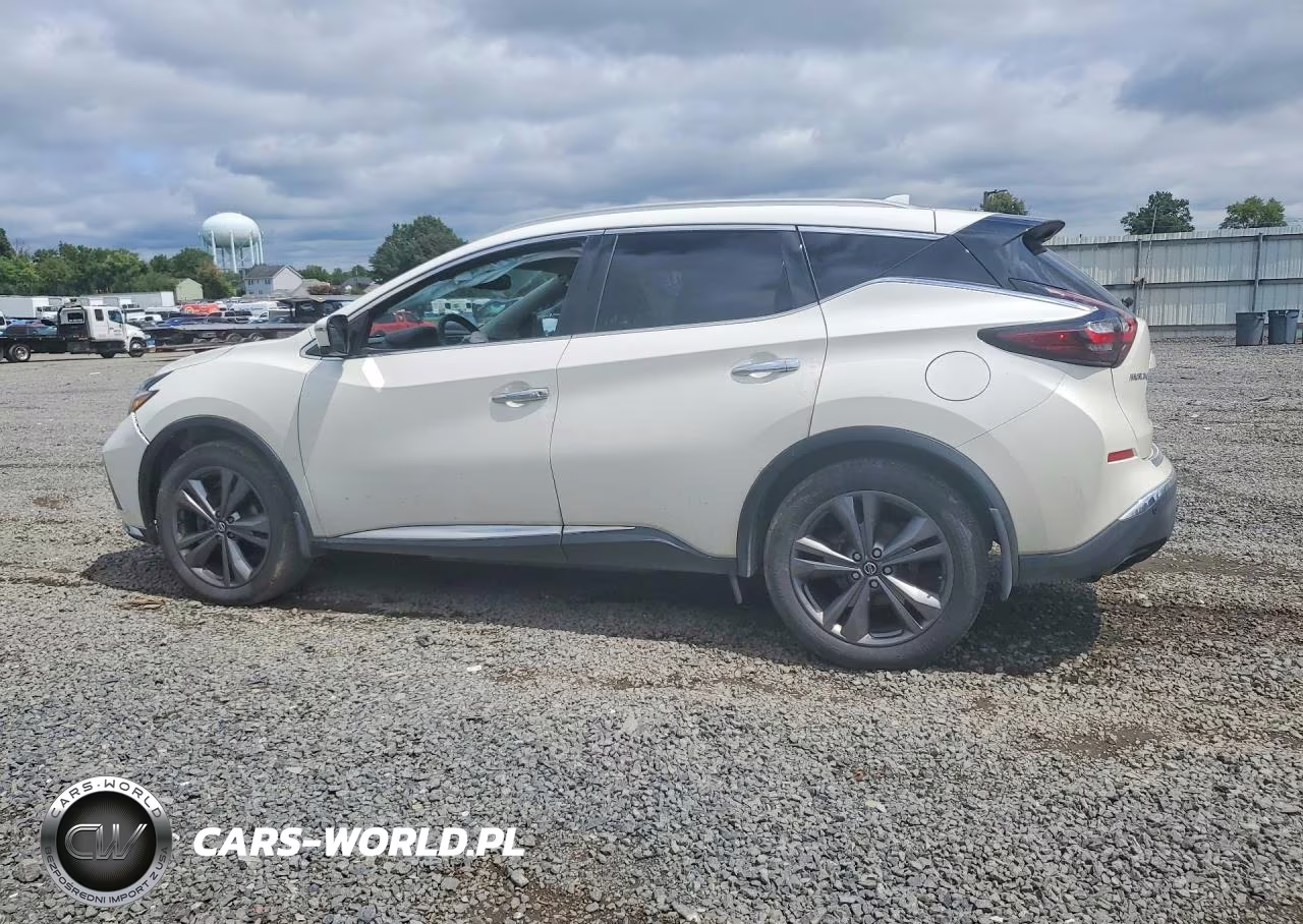 2020 Nissan Murano Platinum VIN:5N1AZ2DS6LN133804 - 2