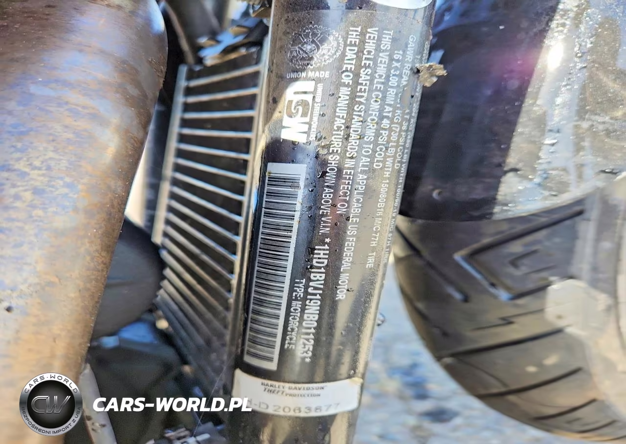 2022 Harley-Davidson Fxst VIN:1HD1BVJ19NB011253 - 8