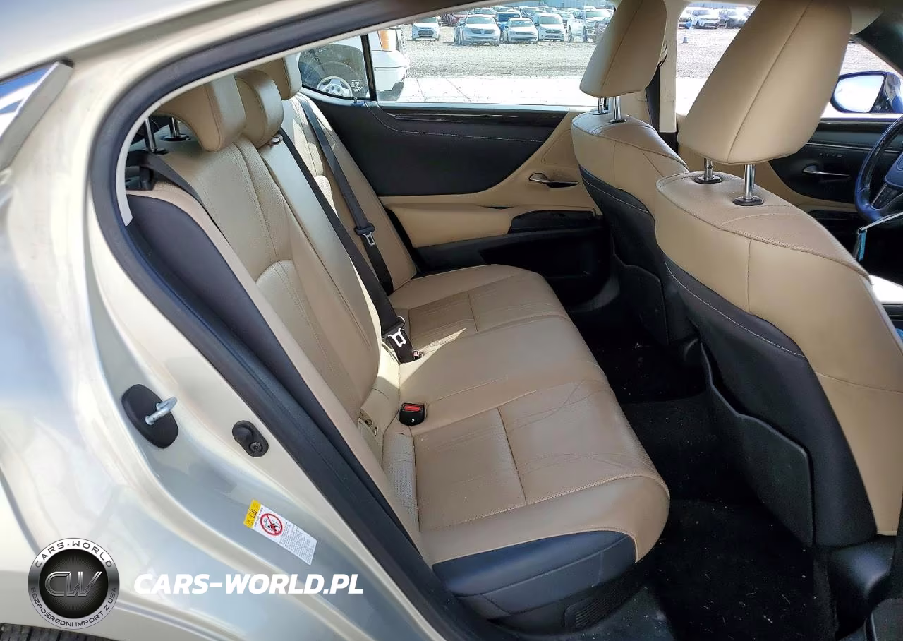 2019 Lexus Es 300H VIN:JTHB21B16K2037526 - 10