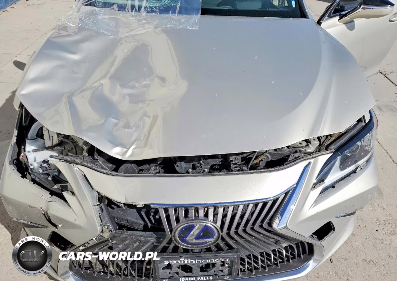 2019 Lexus Es 300H VIN:JTHB21B16K2037526 - 11