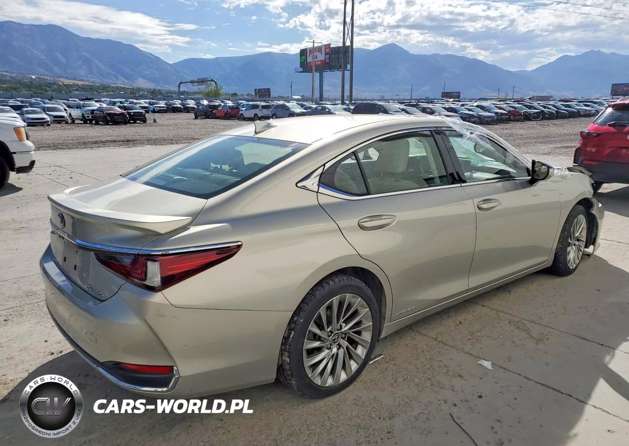2019 Lexus Es 300H VIN:JTHB21B16K2037526 - 3