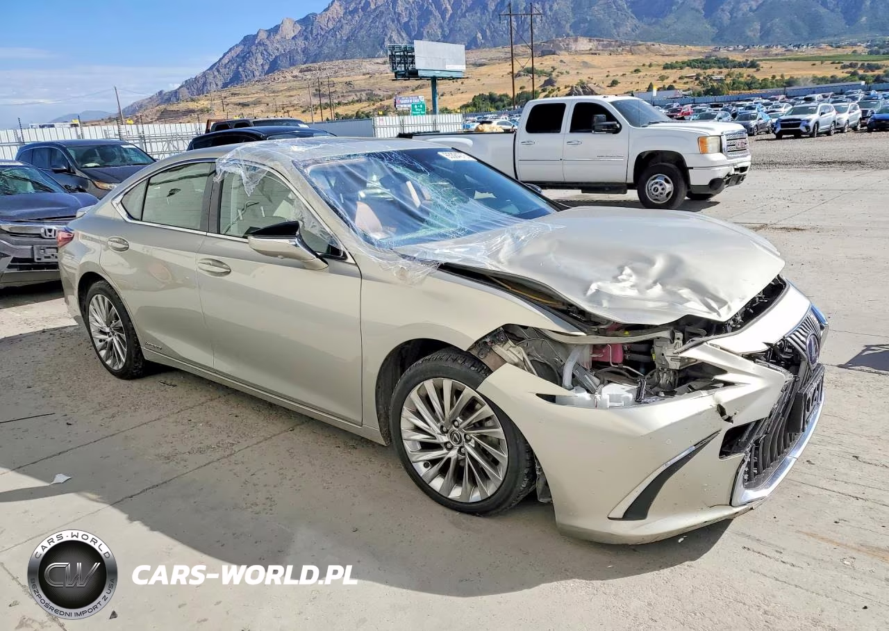 2019 Lexus Es 300H VIN:JTHB21B16K2037526 - 4