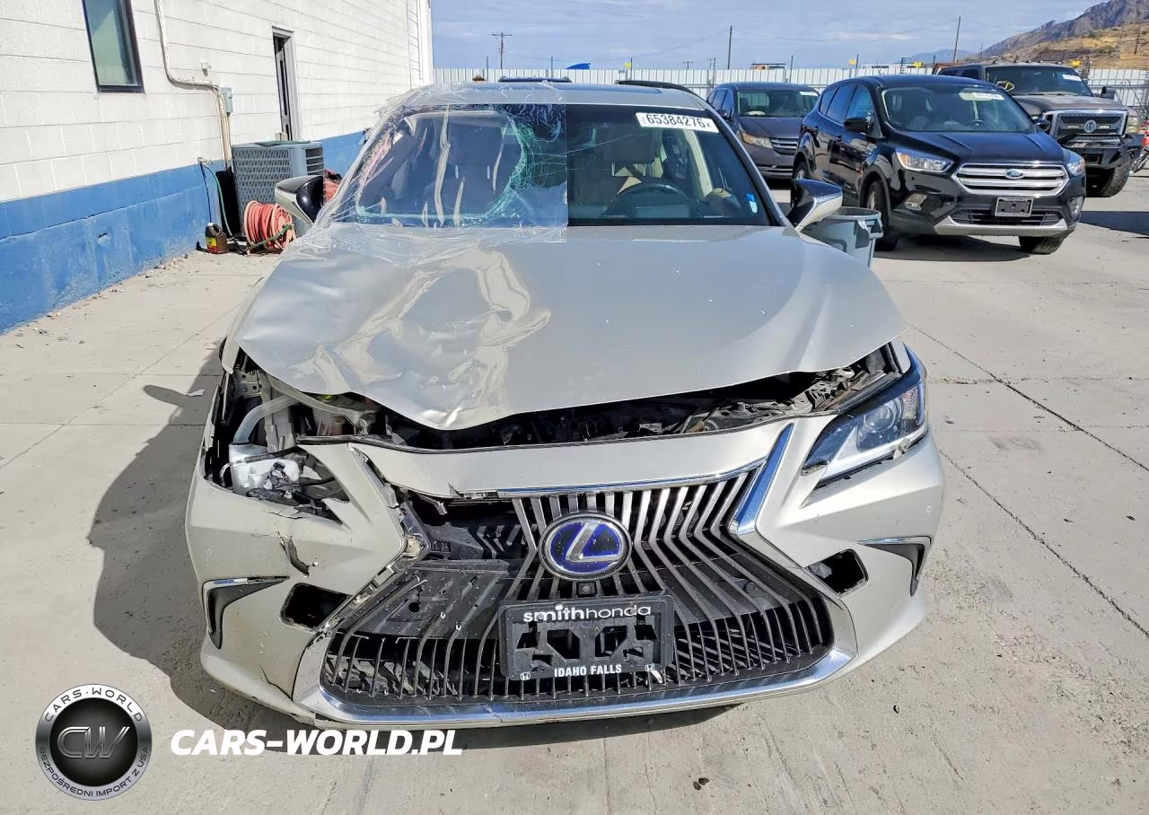 2019 Lexus Es 300H VIN:JTHB21B16K2037526 - 5