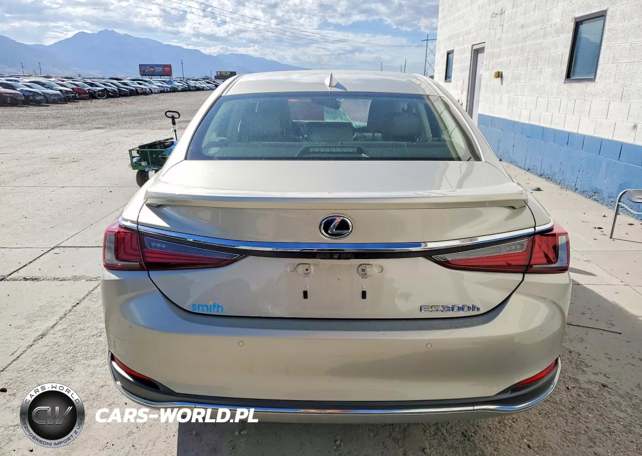 2019 Lexus Es 300H VIN:JTHB21B16K2037526 - 6