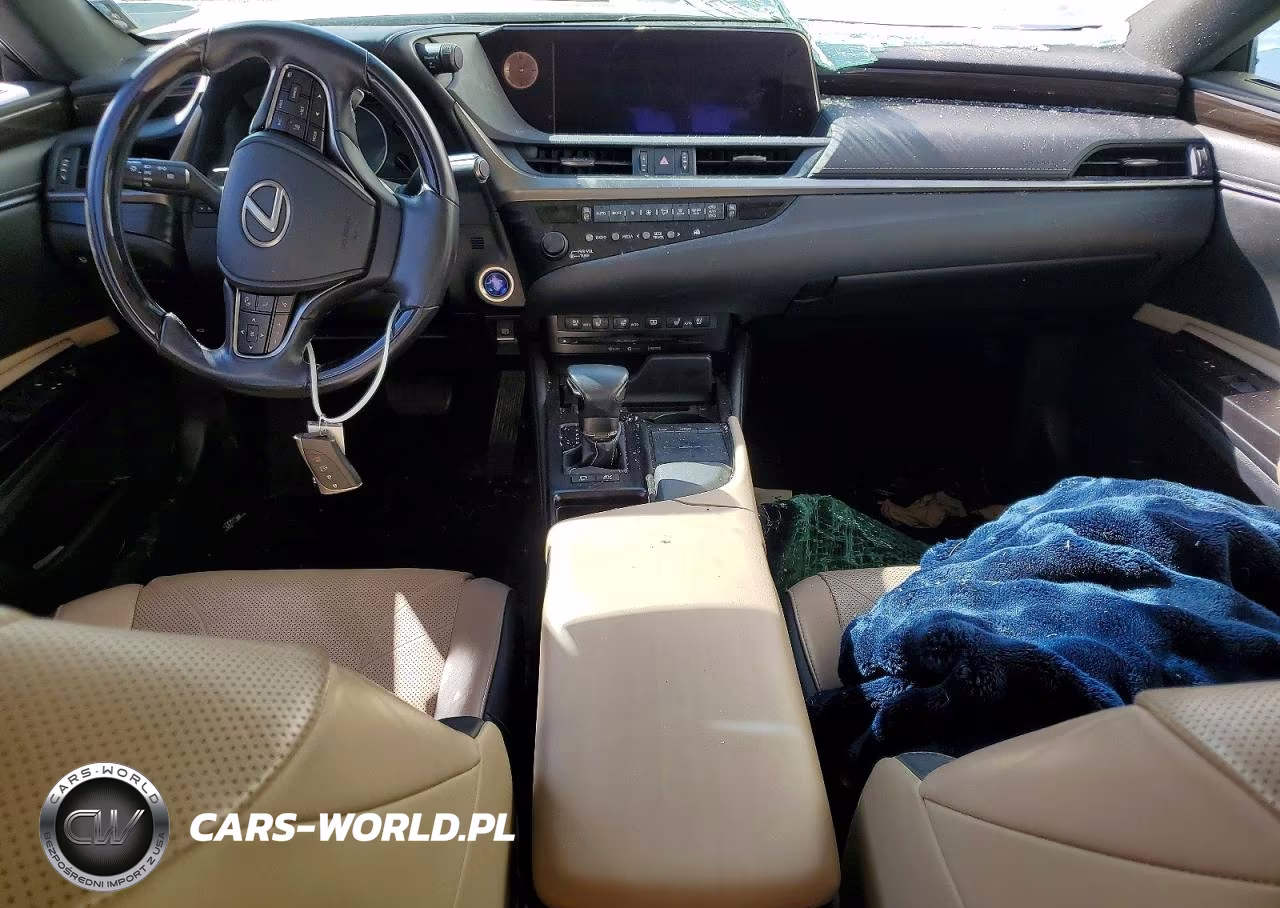 2019 Lexus Es 300H VIN:JTHB21B16K2037526 - 8