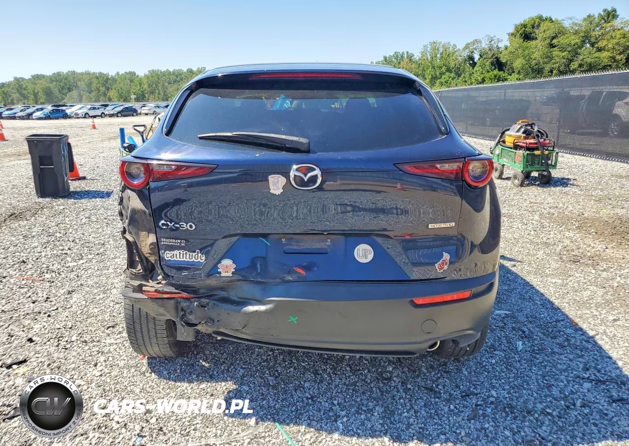 2020 Mazda Cx-30 Select VIN:3MVDMACL8LM120226 - 6