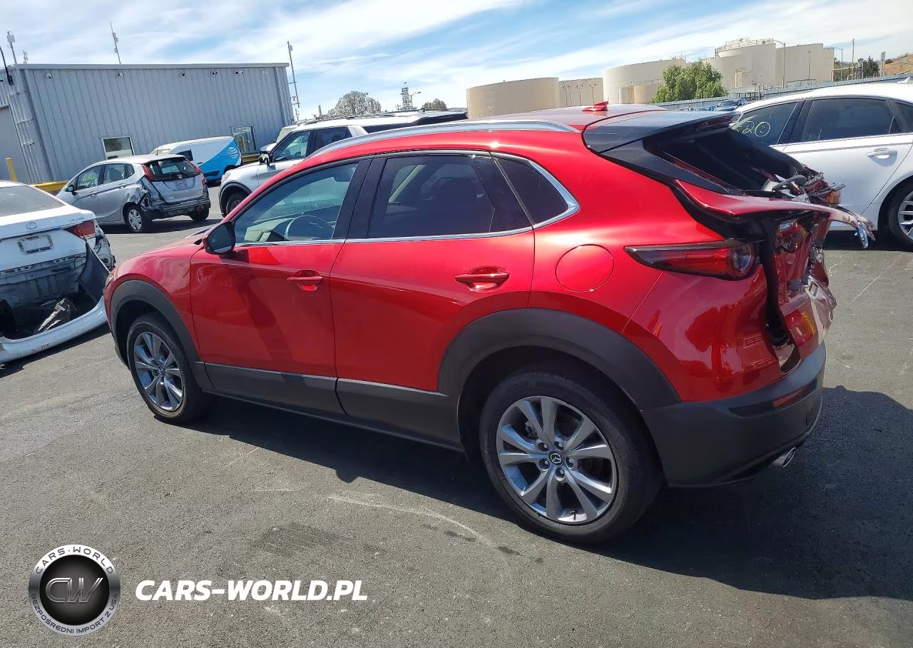 2025 Mazda Cx-30 Premium VIN:3MVDMBDM2SM791869 - 2