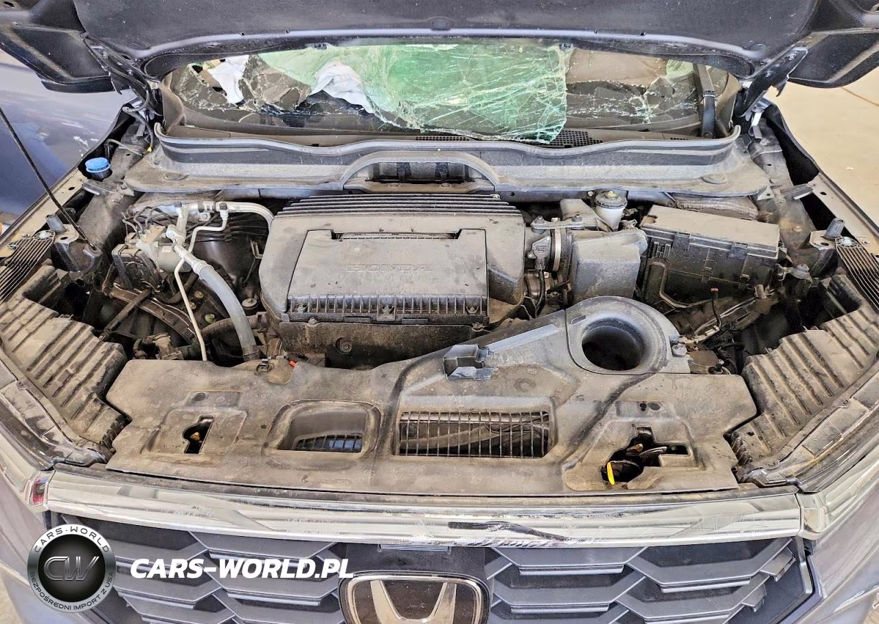 2025 Honda Pilot Exl VIN:5FNYG1H46SB109708 - 12