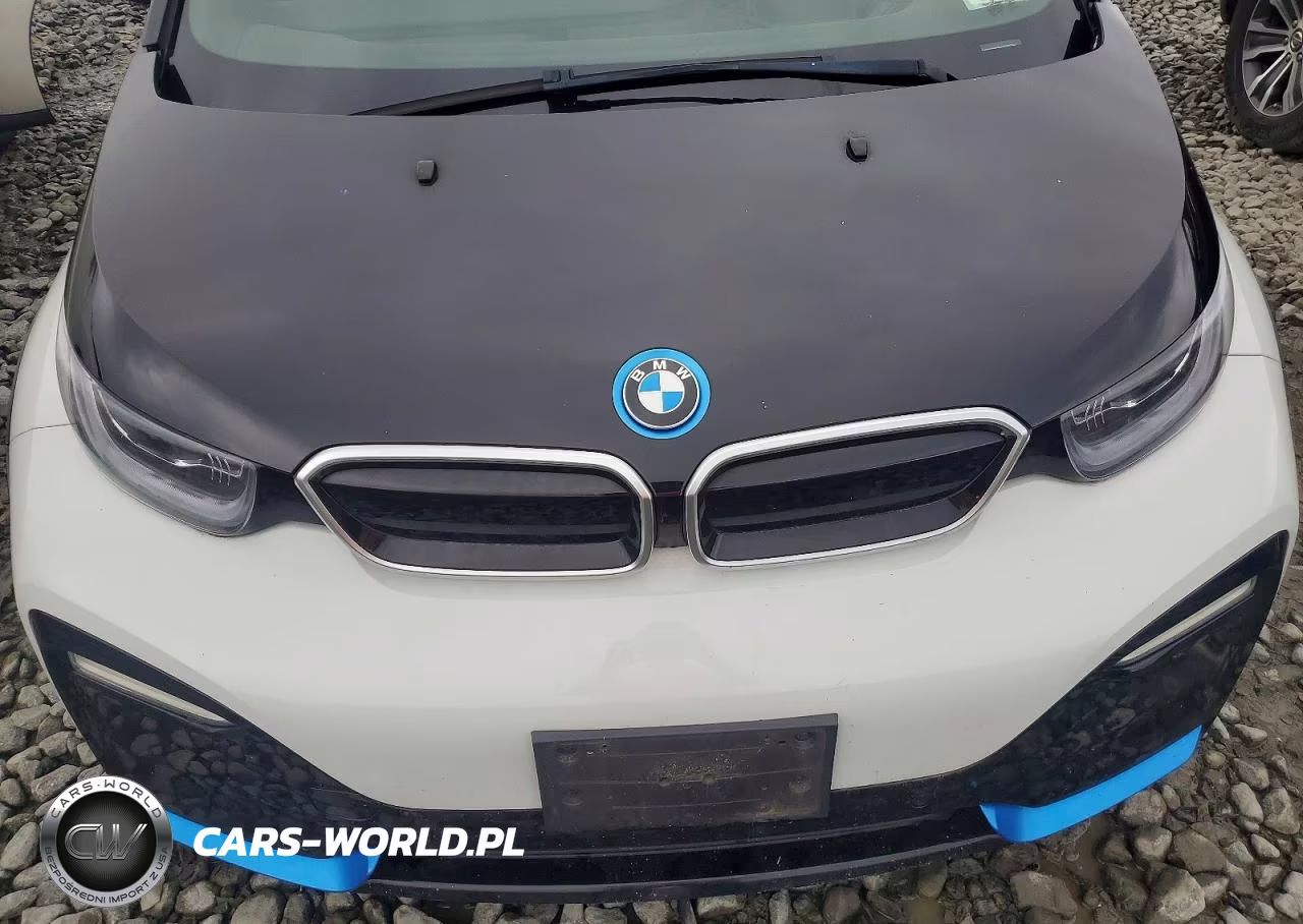 2019 BMW I3 S Rex VIN:WBY8P8C53K7D92178 - 11