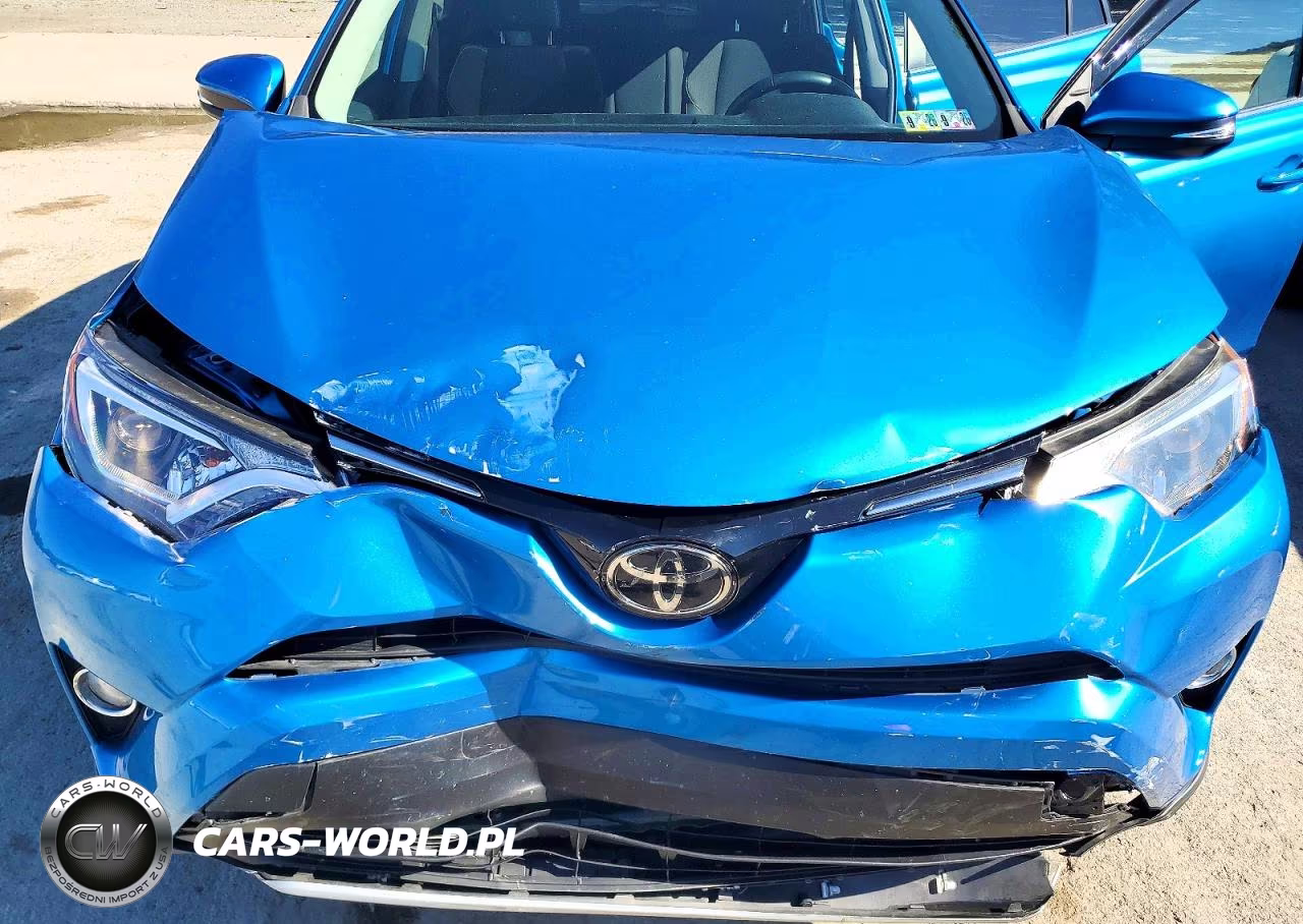 2017 Toyota Rav4 Xle VIN:2T3RFREV9HW636681 - 12
