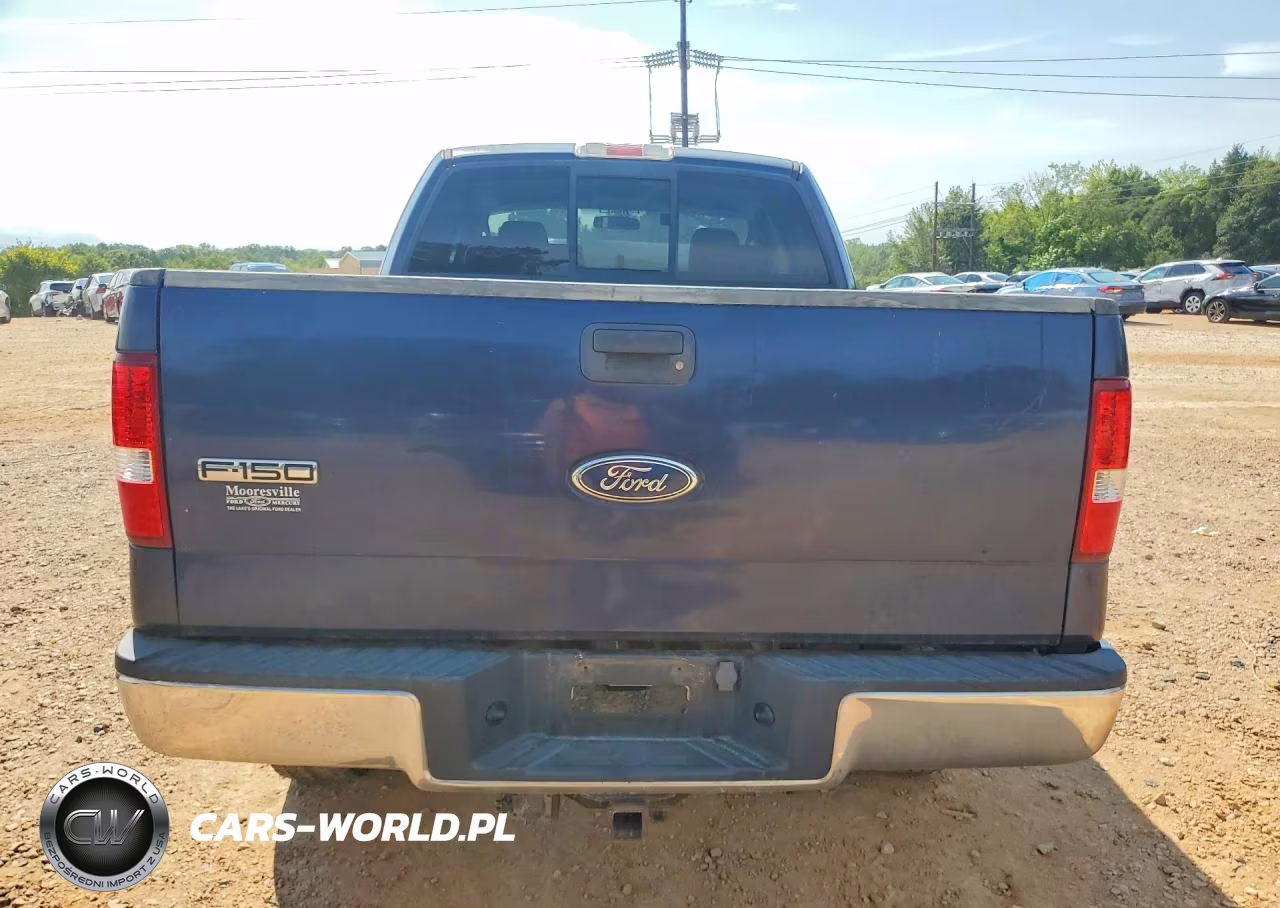 2004 Ford F150 VIN:1FTRX14W94NB54366 - 6