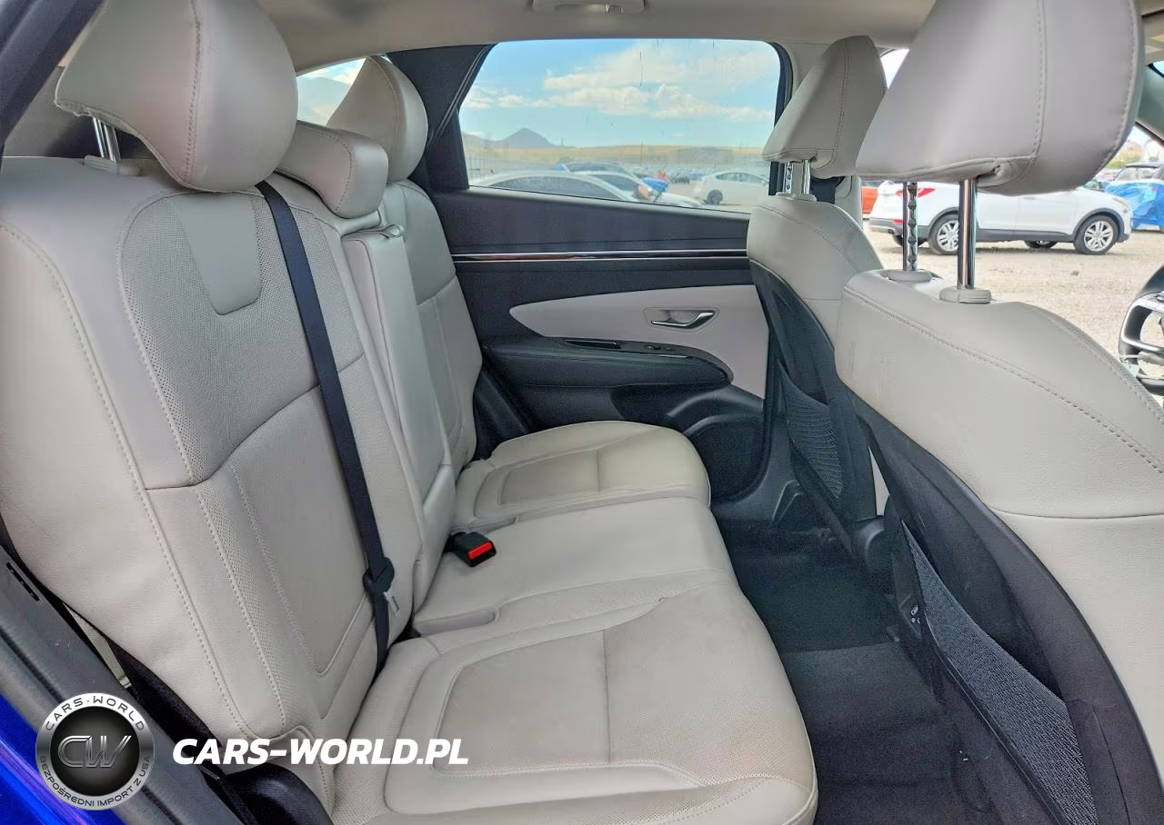 2023 Hyundai Tucson Limited VIN:5NMJECAE1PH169231 - 10