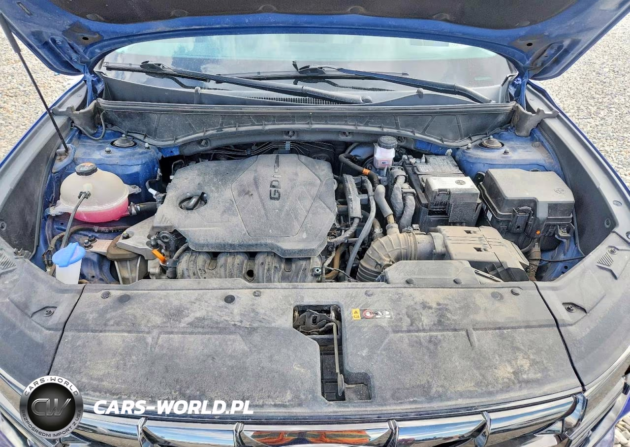 2023 Hyundai Tucson Limited VIN:5NMJECAE1PH169231 - 11