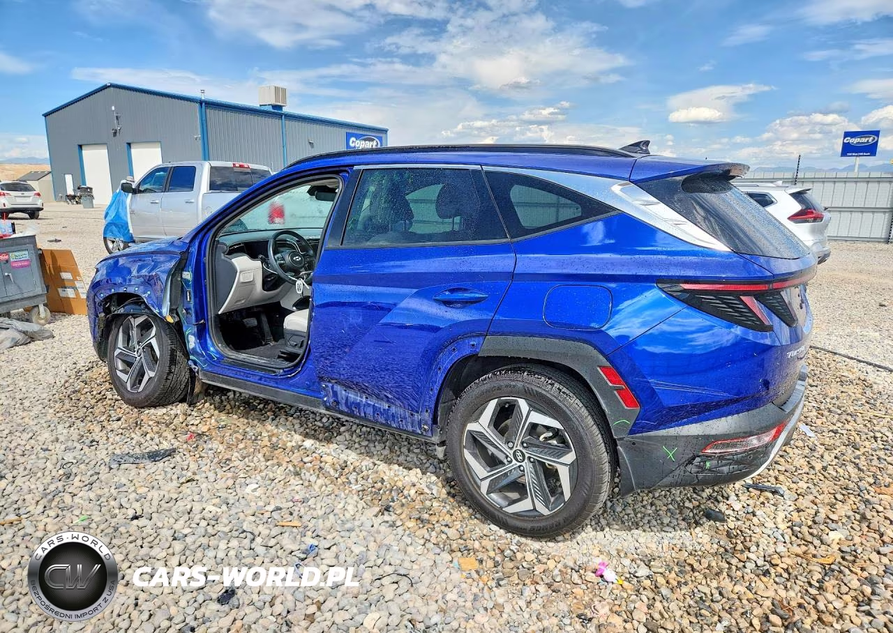 2023 Hyundai Tucson Limited VIN:5NMJECAE1PH169231 - 2
