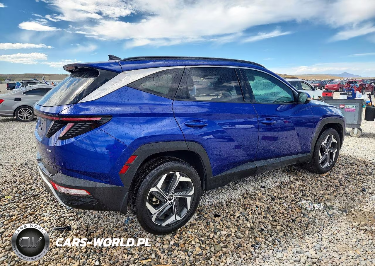 2023 Hyundai Tucson Limited VIN:5NMJECAE1PH169231 - 3