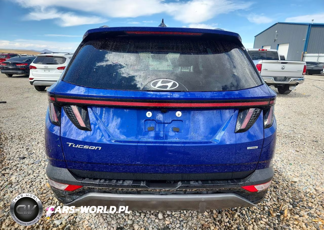 2023 Hyundai Tucson Limited VIN:5NMJECAE1PH169231 - 6