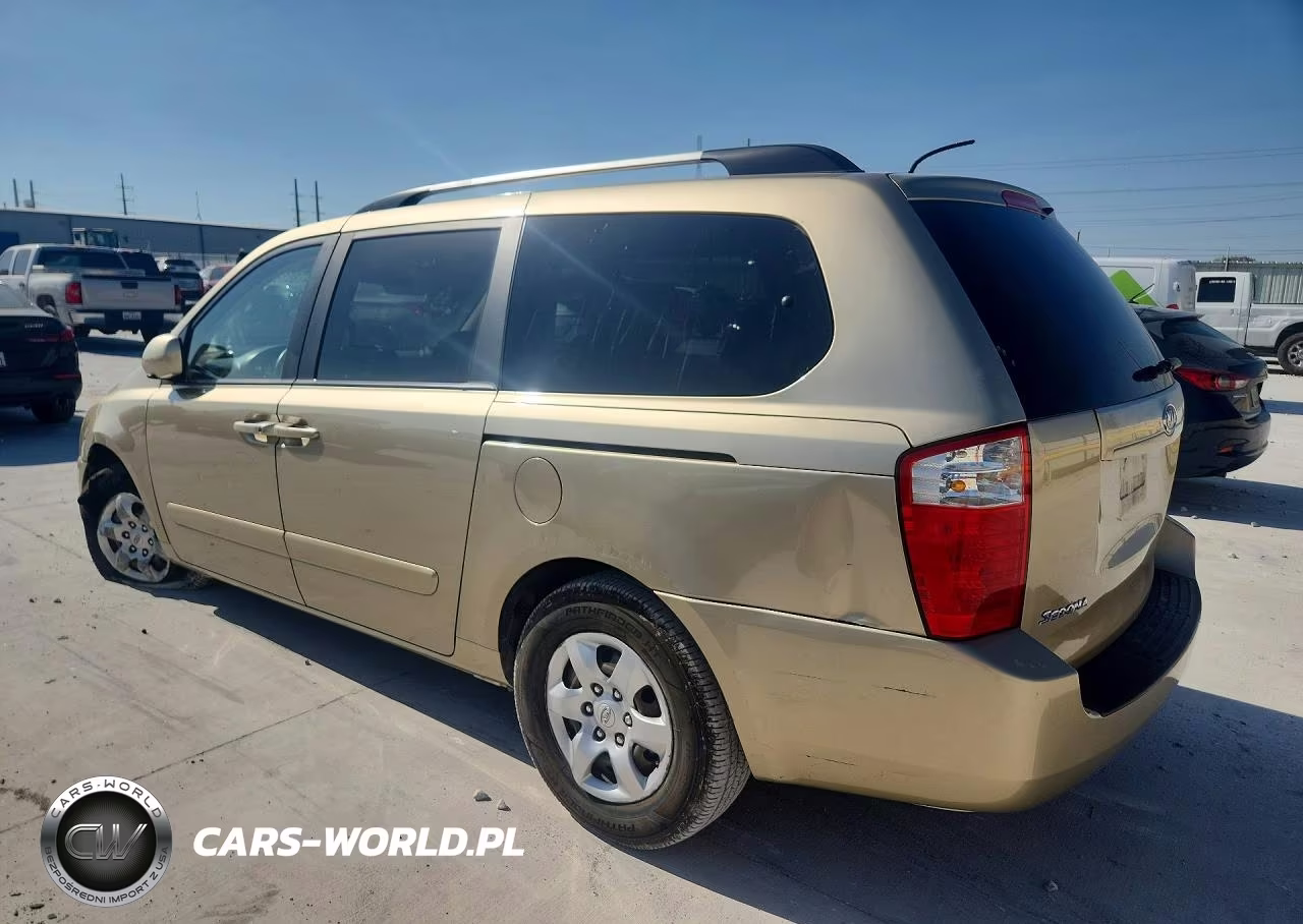 2009 Kia Sedona Lx VIN:KNDMB233196304316 - 2