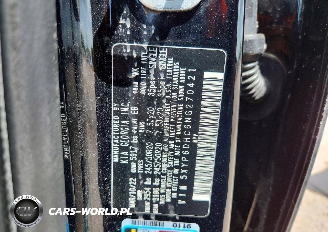 2022 Kia Telluride S VIN:5XYP6DHC6NG270421 - 13