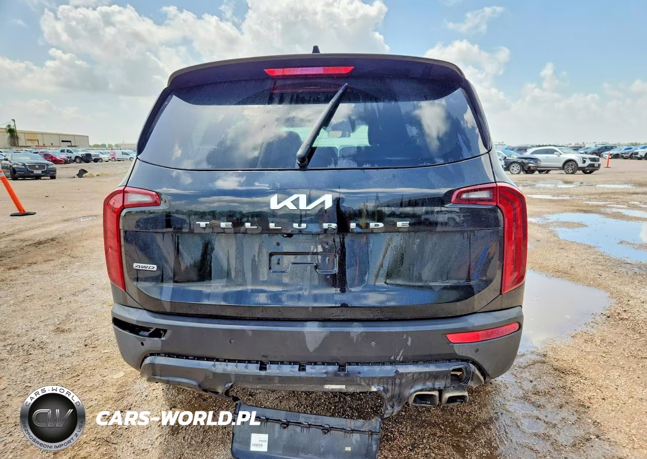 2022 Kia Telluride S VIN:5XYP6DHC6NG270421 - 6