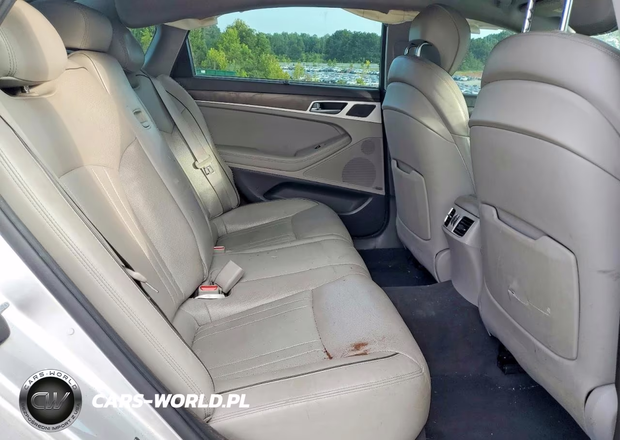 2016 Hyundai Genesis 3.8L VIN:KMHGN4JE2GU127770 - 10
