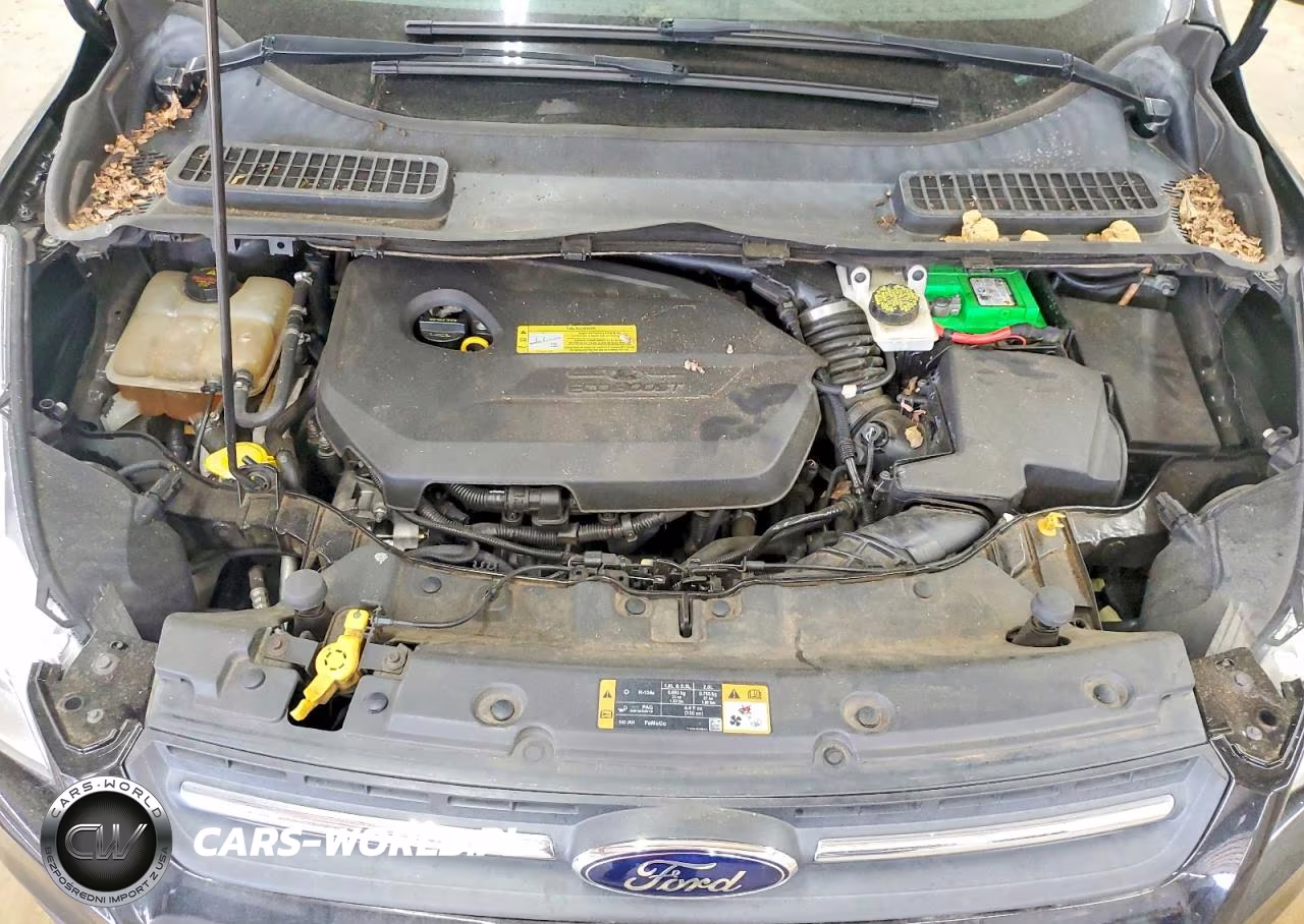 2014 Ford Escape Se VIN:1FMCU0GX0EUB53686 - 12