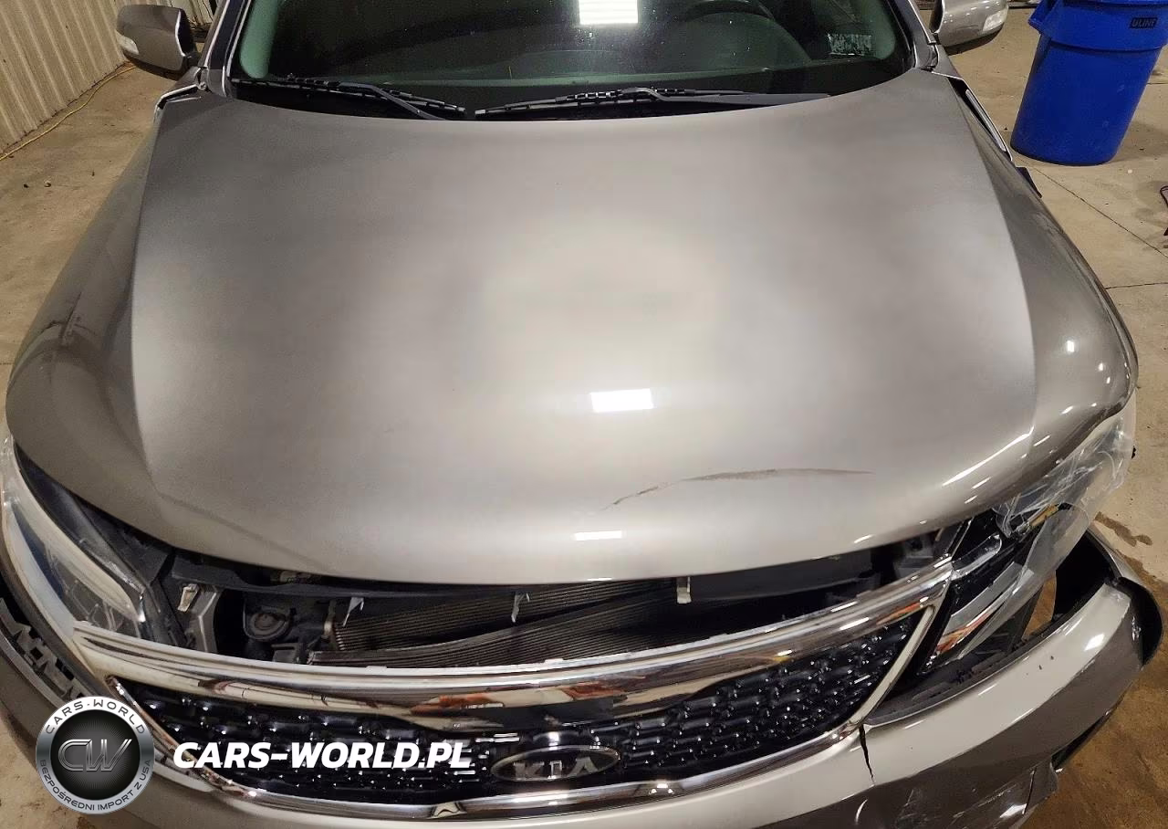 2014 Kia Sorento Lx VIN:5XYKTCA66EG549773 - 12