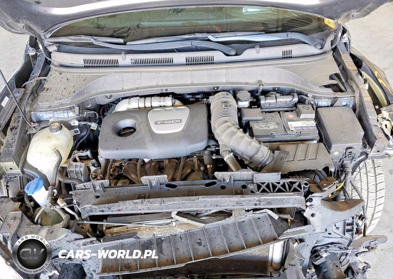 2019 Hyundai Kona Ultimate VIN:KM8K53A5XKU343234 - 12