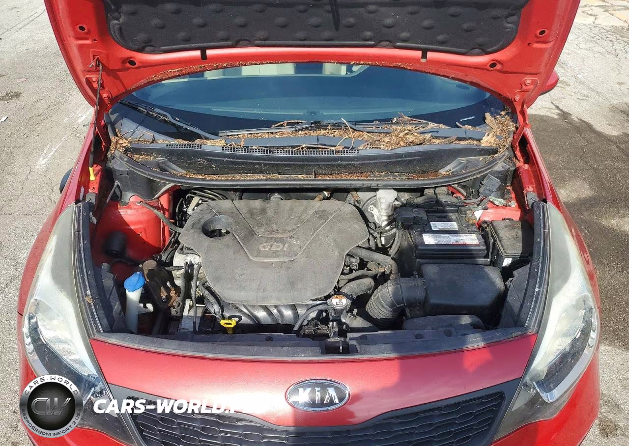 2013 Kia Rio Lx VIN:KNADM4A32D6121411 - 11