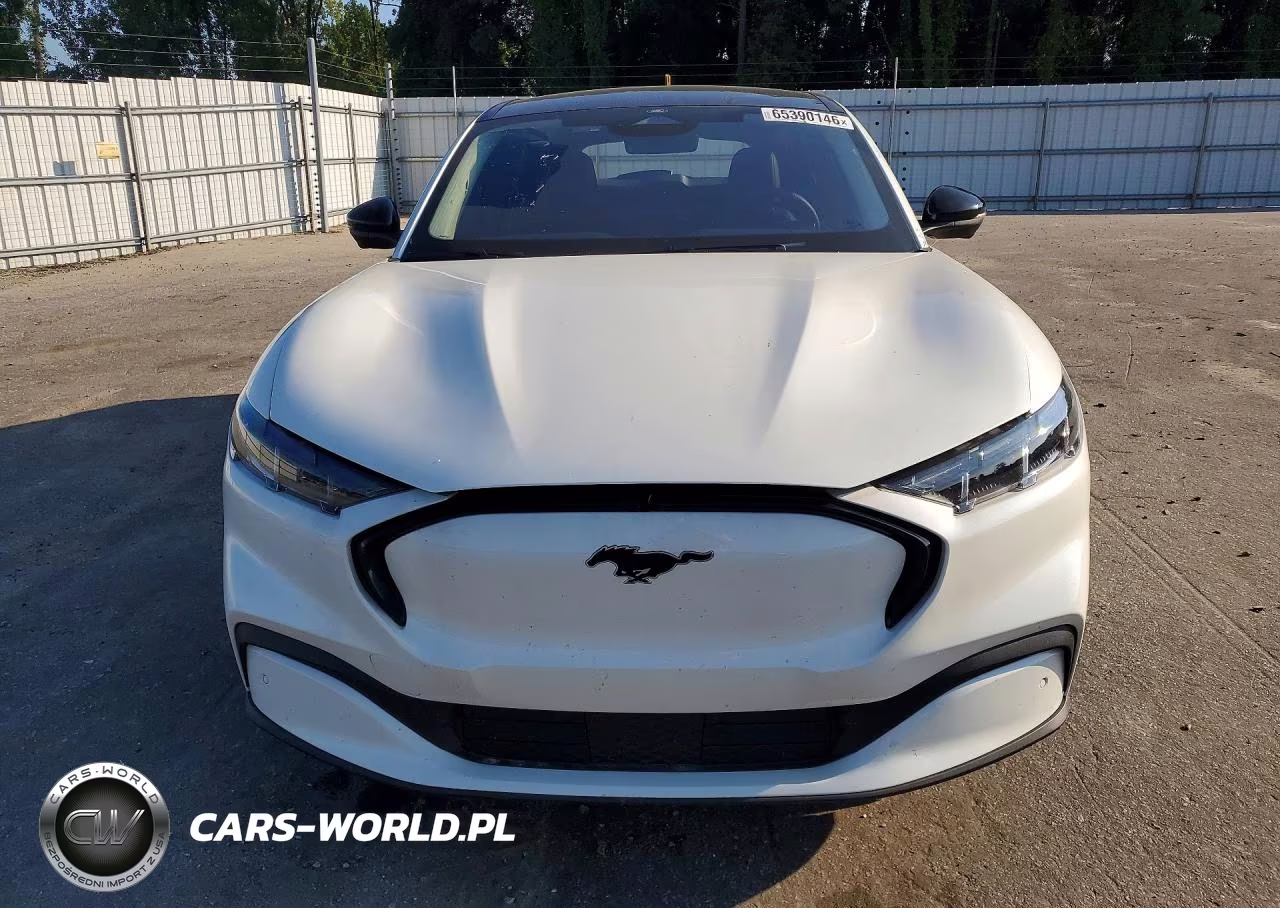2025 Ford Mustang Mach-E Premium VIN:3FMTK3R71SMA45467 - 5