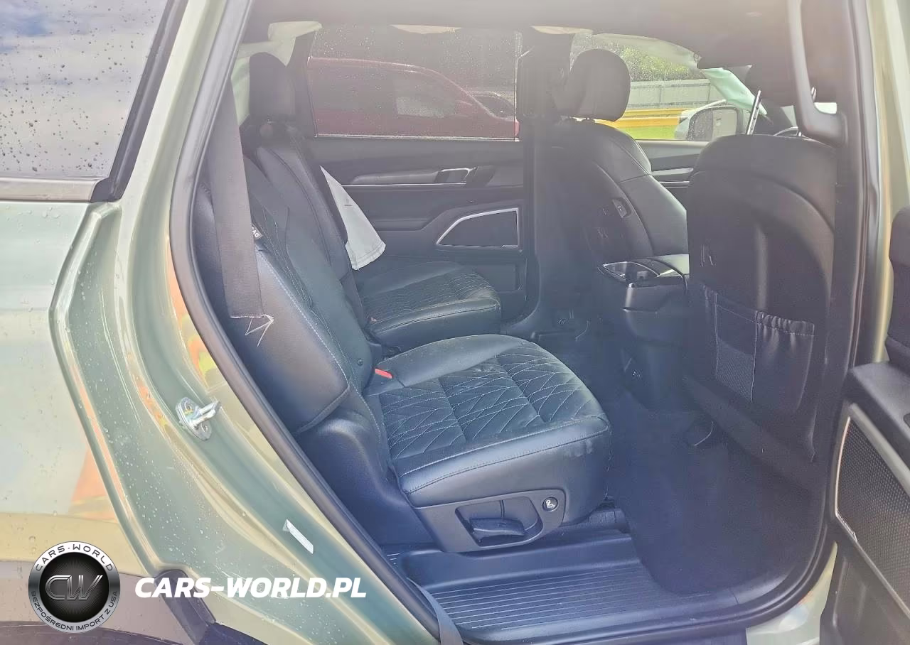 2023 Kia Telluride Ex X-Line VIN:5XYP3DGC3PG355553 - 10