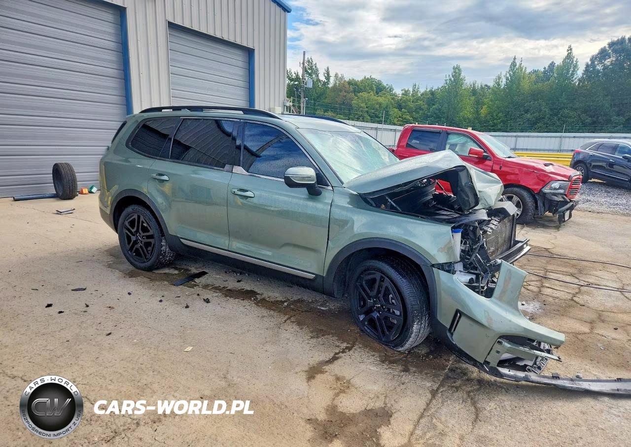 2023 Kia Telluride Ex X-Line VIN:5XYP3DGC3PG355553 - 4
