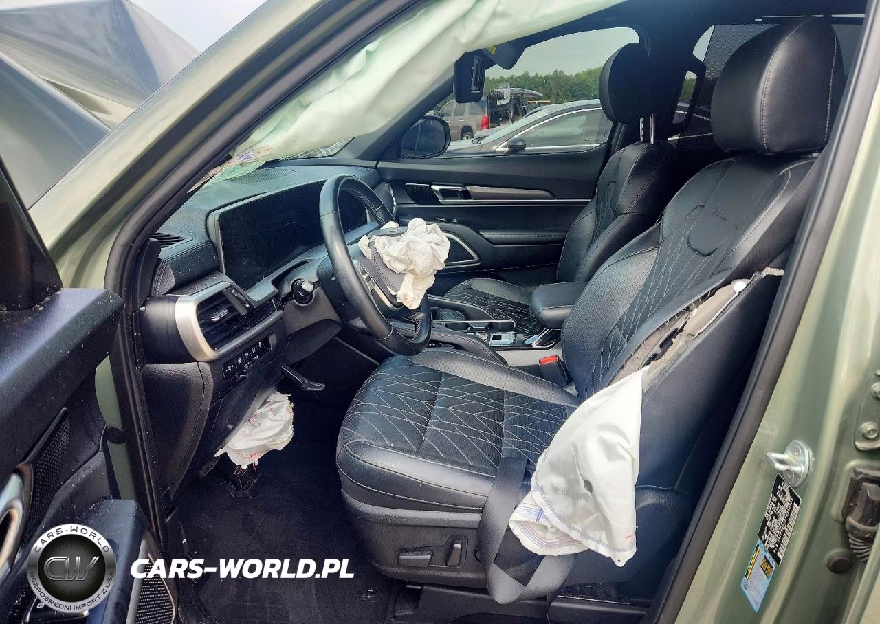 2023 Kia Telluride Ex X-Line VIN:5XYP3DGC3PG355553 - 7
