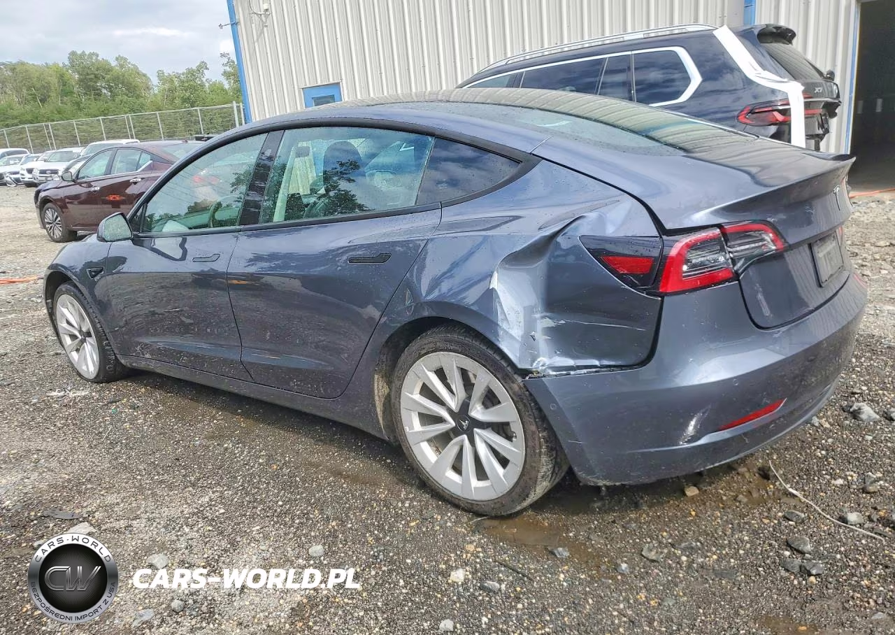 2022 Tesla Model 3 VIN:5YJ3E1EBXNF290934 - 2