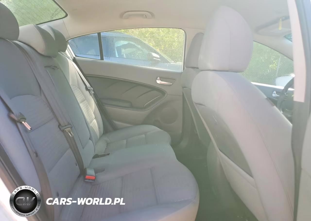2017 Kia Forte Lx VIN:3KPFL4A73HE063679 - 10