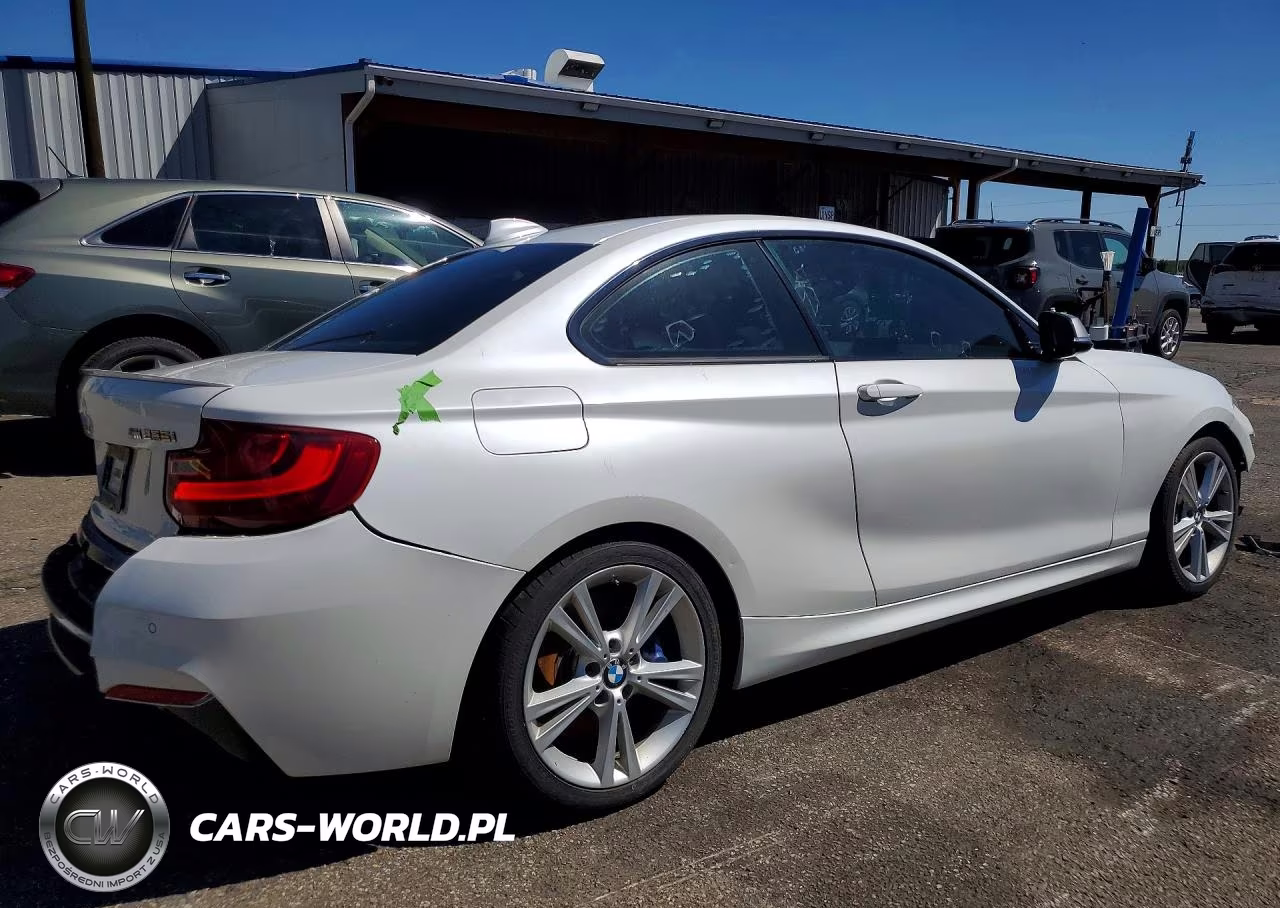 2016 BMW M235I VIN:WBA1J9C58GV696176 - 3