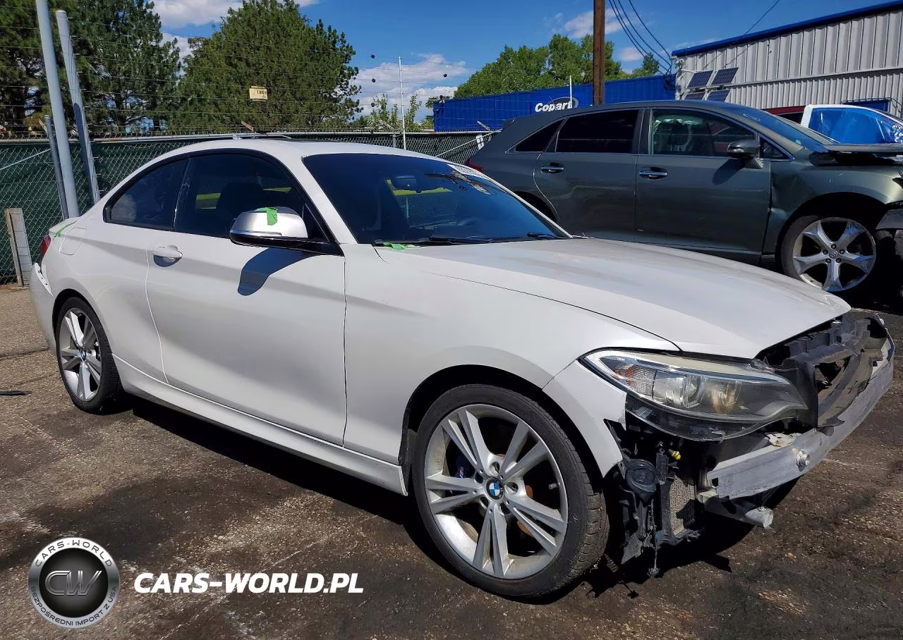 2016 BMW M235I VIN:WBA1J9C58GV696176 - 4