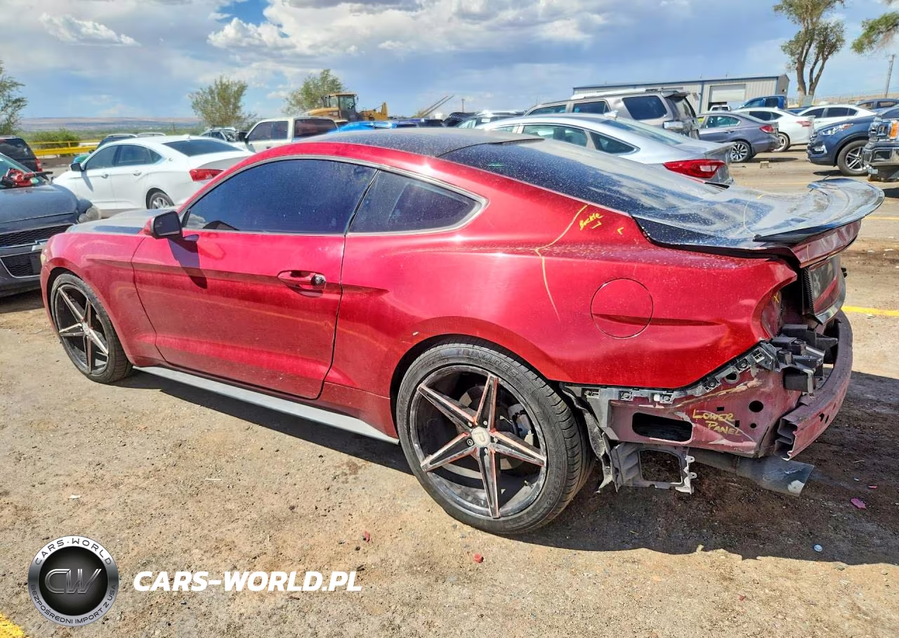 2015 Ford Mustang VIN:1FA6P8AM5F5352482 - 2