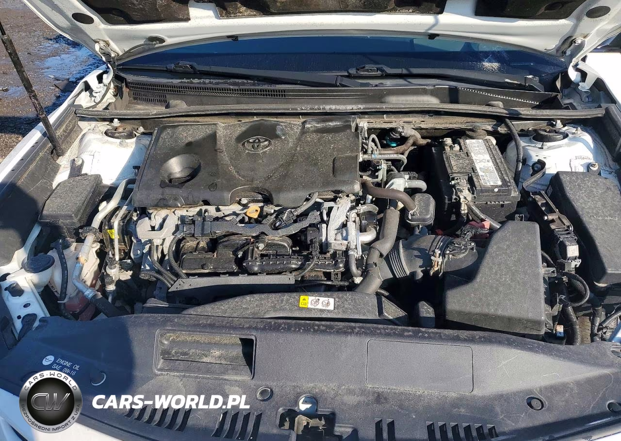 2019 Toyota Camry Xse VIN:4T1B61HK3KU216998 - 11