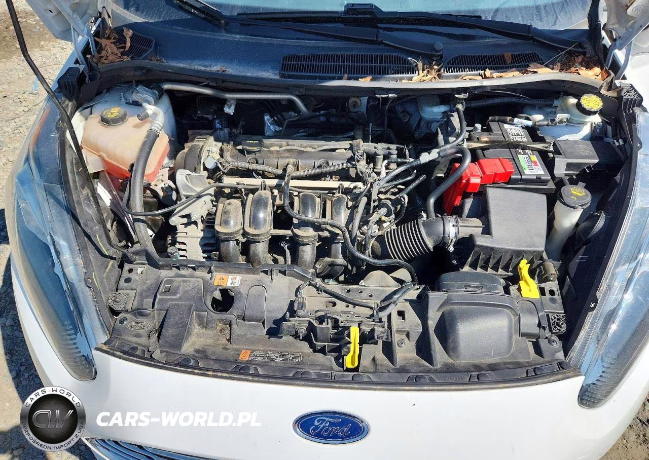 2016 Ford Fiesta Se VIN:3FADP4EJ1GM188014 - 11