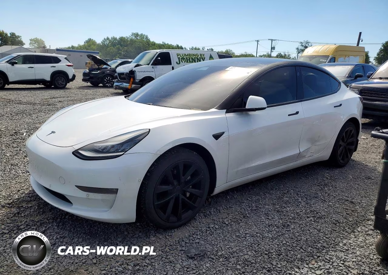 2019 Tesla Model 3