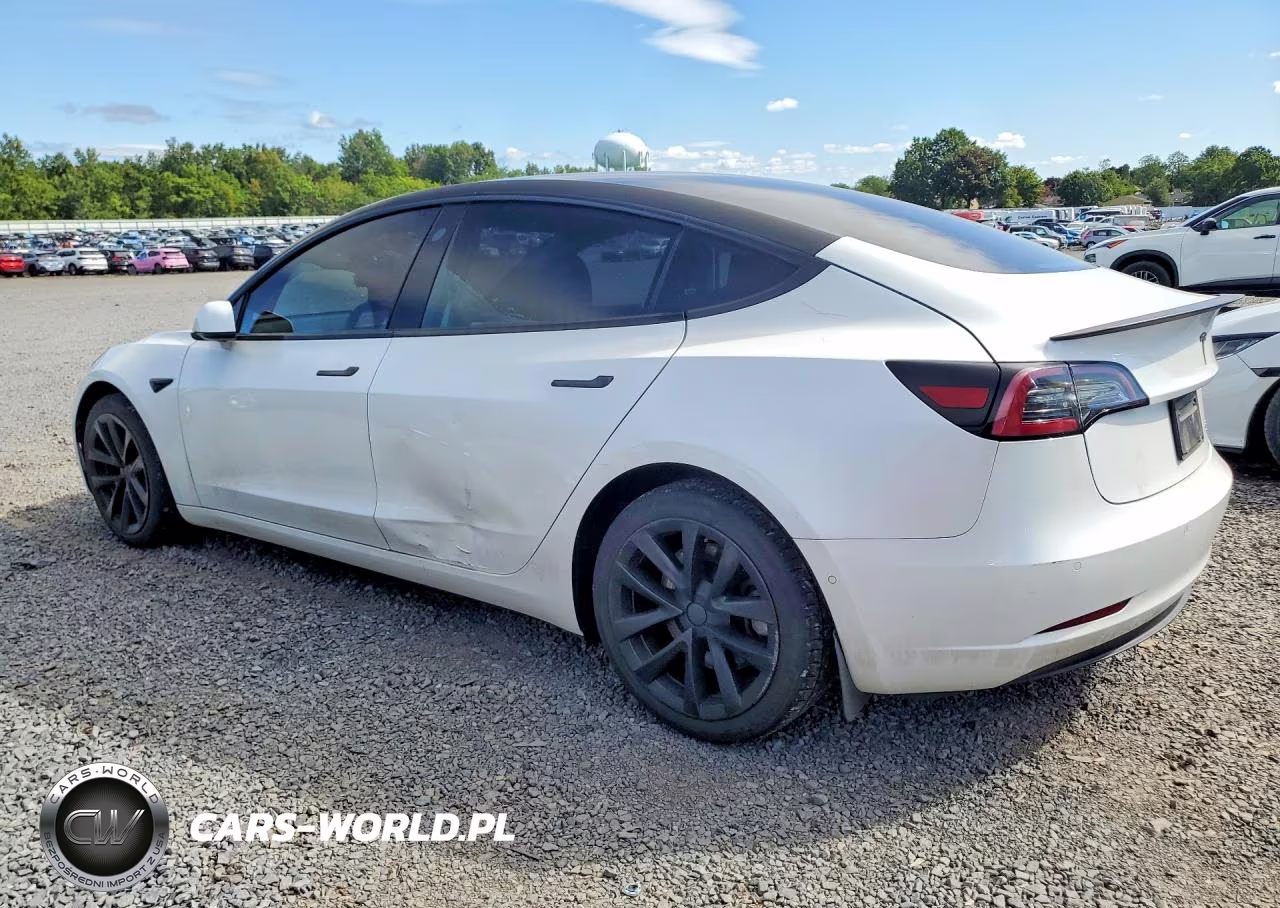 2019 Tesla Model 3 VIN:5YJ3E1EB2KF510613 - 2