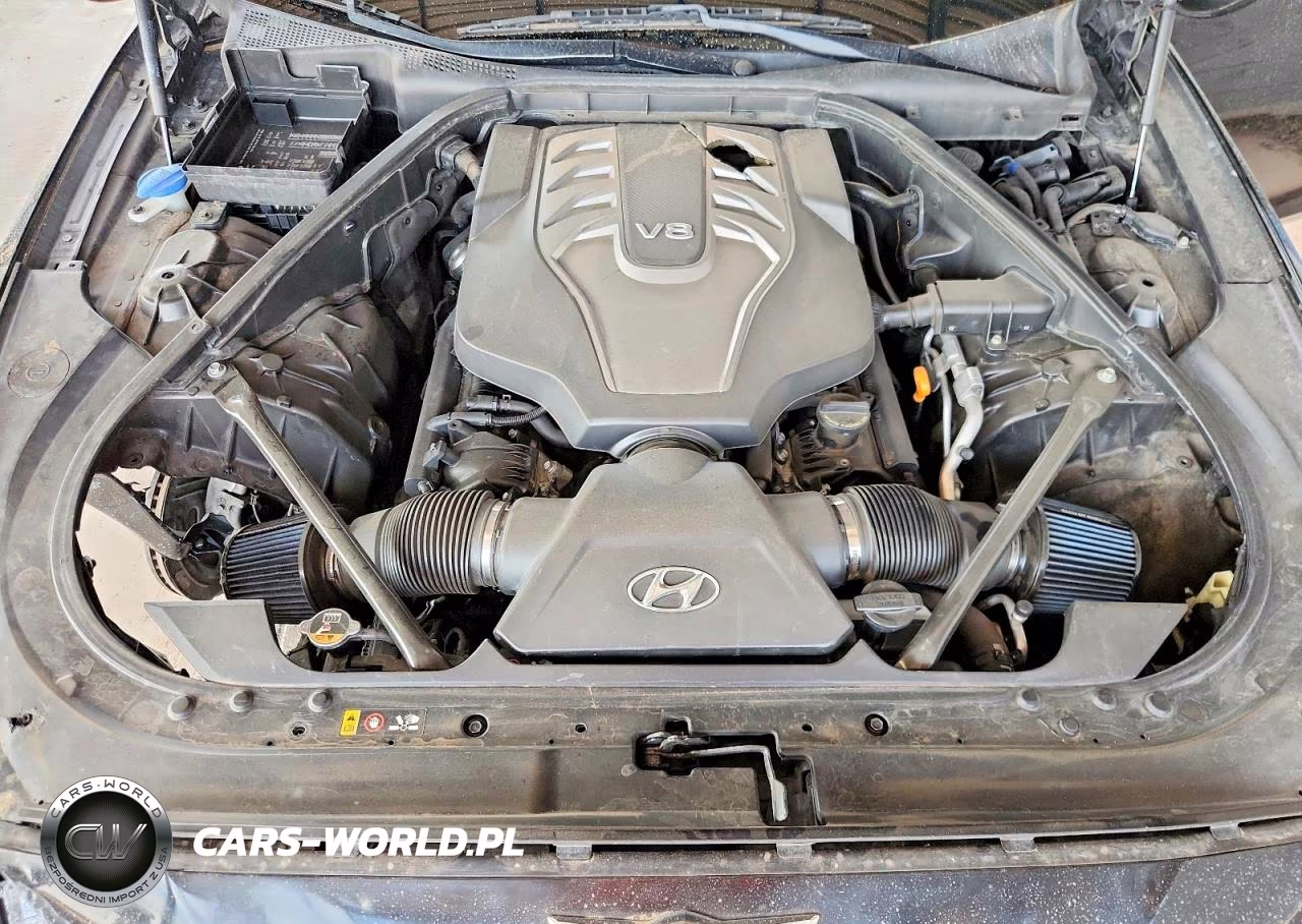 2015 Hyundai Genesis 5.0L VIN:KMHGN4JF0FU019445 - 11