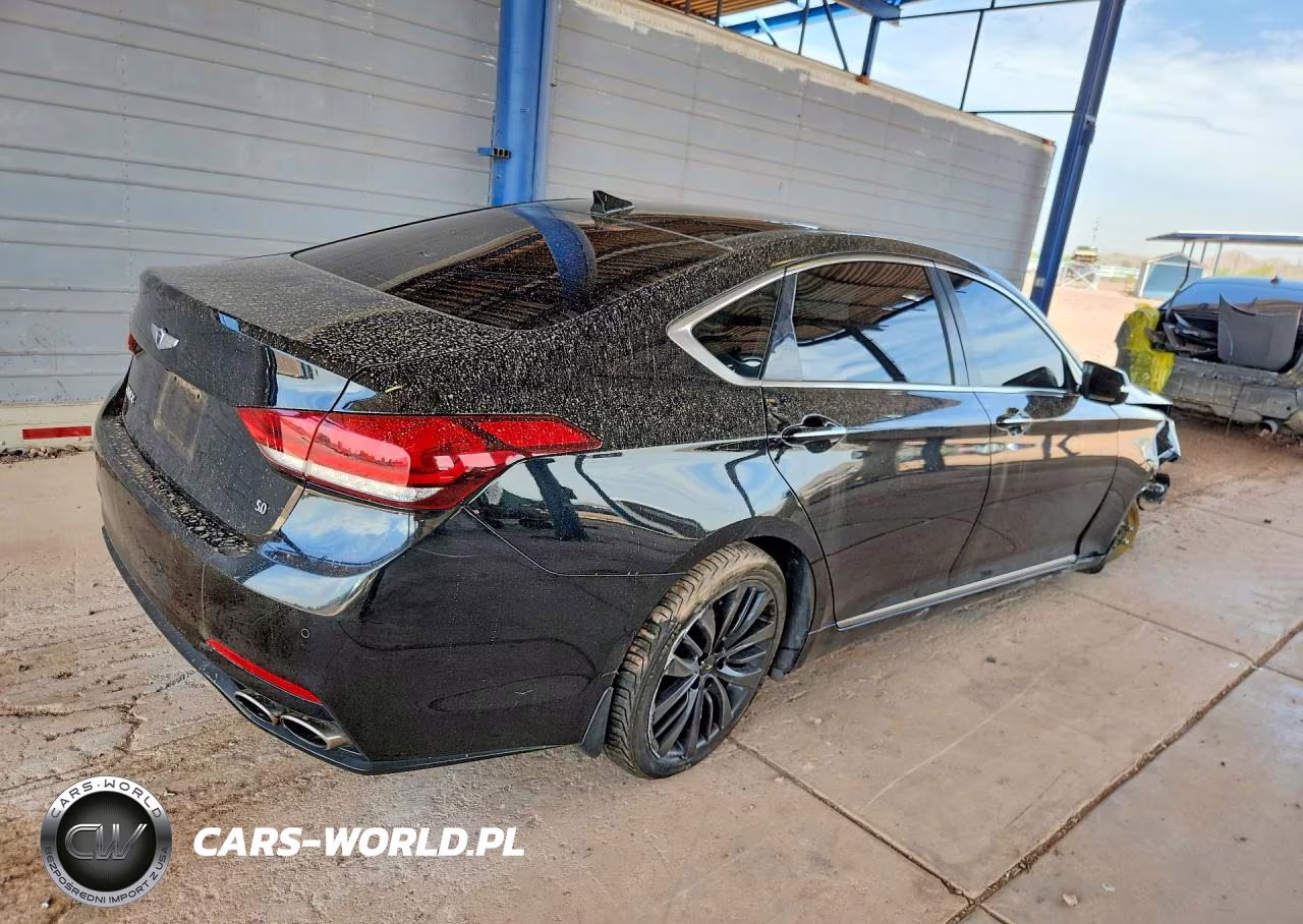2015 Hyundai Genesis 5.0L VIN:KMHGN4JF0FU019445 - 3