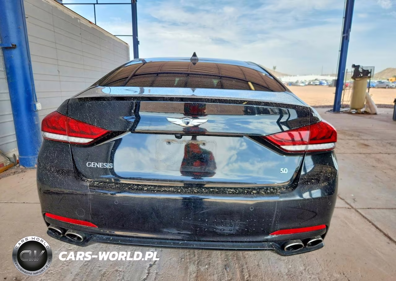 2015 Hyundai Genesis 5.0L VIN:KMHGN4JF0FU019445 - 6