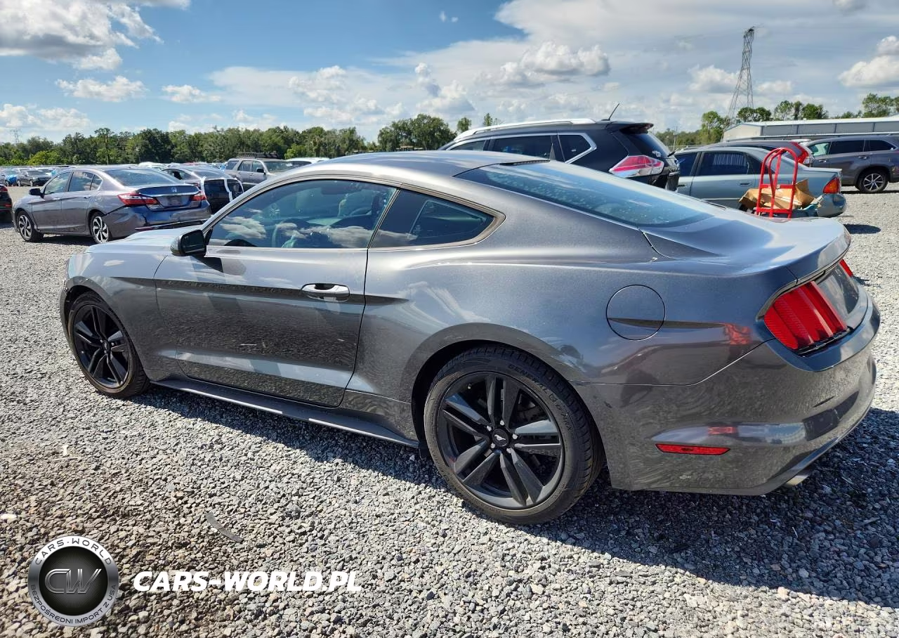 2016 Ford Mustang VIN:1FA6P8TH9G5265248 - 2