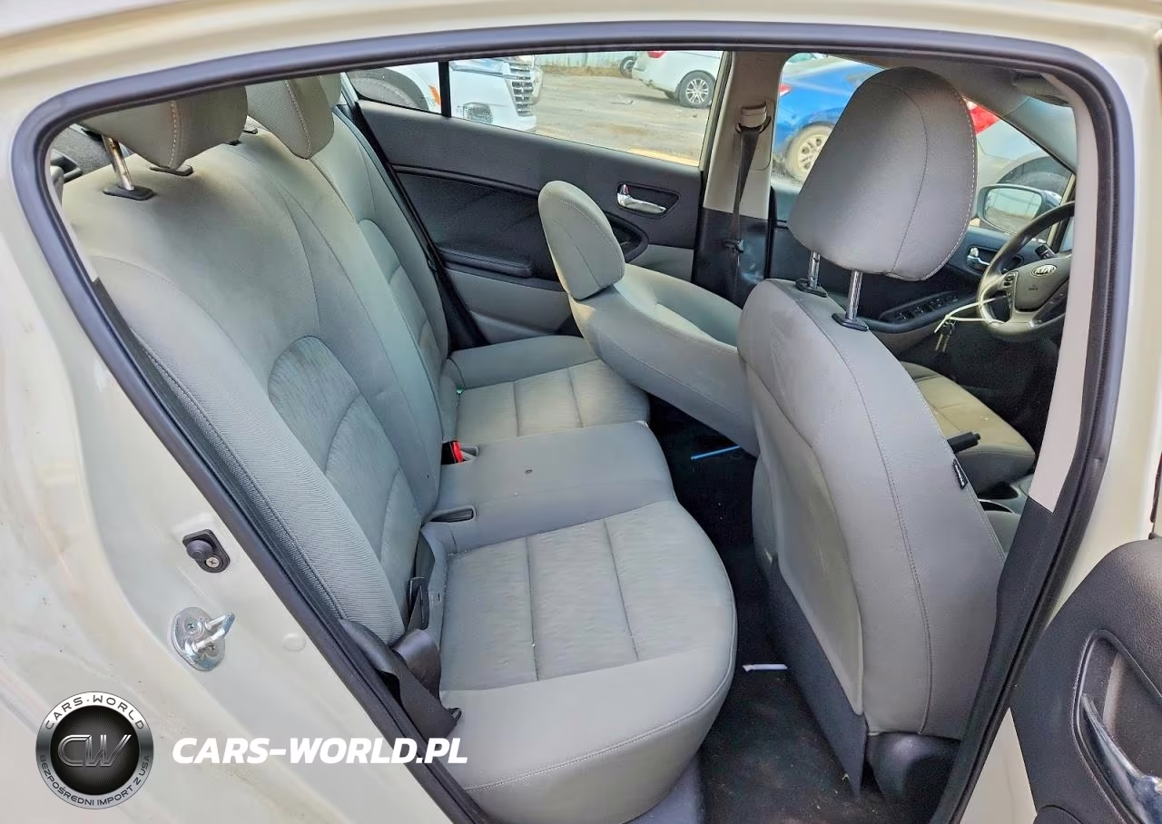 2015 Kia Forte Lx VIN:KNAFK4A61F5304509 - 10