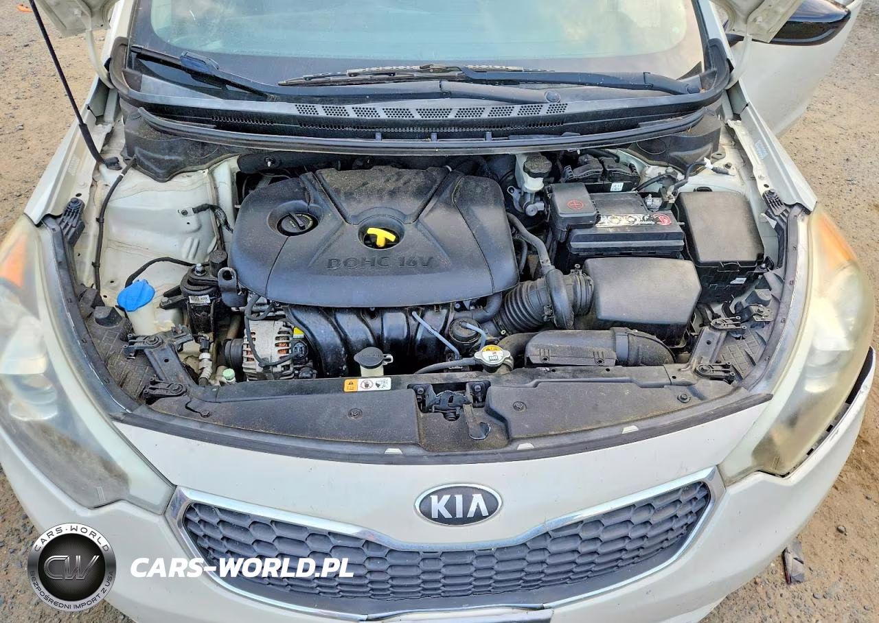 2015 Kia Forte Lx VIN:KNAFK4A61F5304509 - 11