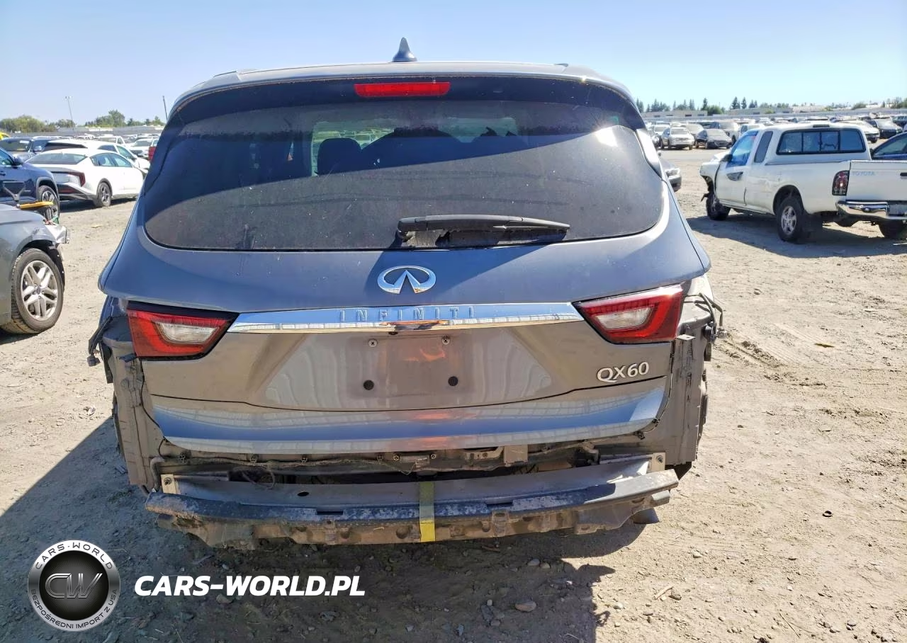 2020 Infiniti Qx60 Pure VIN:5N1DL0MN9LC529413 - 6