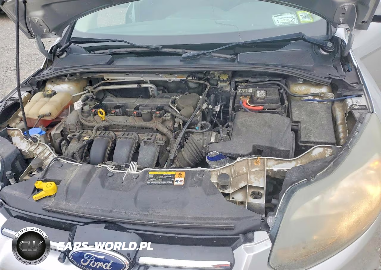 2014 Ford Focus Titanium VIN:1FADP3N21EL245085 - 11